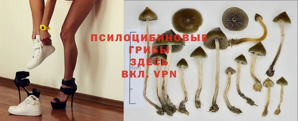 спайс Киренск