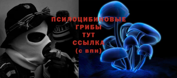 мдма Козловка