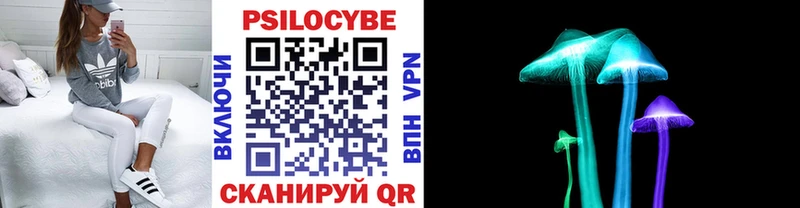 Псилоцибиновые грибы Cubensis  сайты даркнета наркотические препараты  Мамадыш  купить закладку 